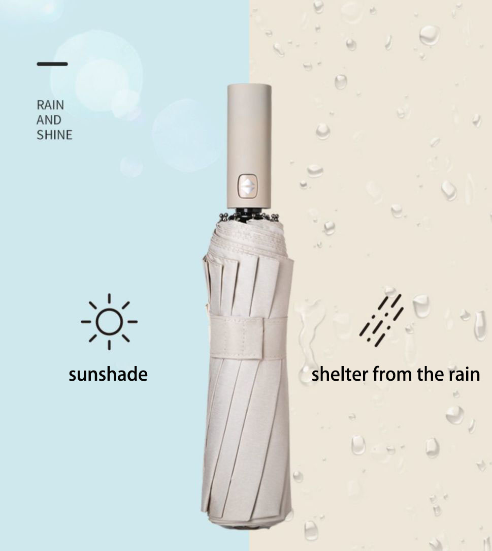 Verstärkter 24-Knochen-Regensc – Parasol Umbrella Large Bewertung und Preis