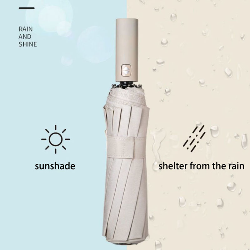 Verstärkter 24-Knochen-Regensc – Parasol Umbrella Large Bewertung und Preis